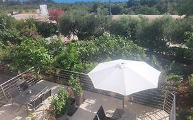 Apartment Maslina